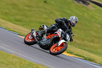PJ-Motorsport-2019;anglesey-no-limits-trackday;anglesey-photographs;anglesey-trackday-photographs;enduro-digital-images;event-digital-images;eventdigitalimages;no-limits-trackdays;peter-wileman-photography;racing-digital-images;trac-mon;trackday-digital-images;trackday-photos;ty-croes